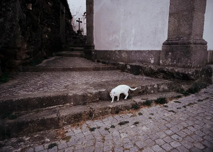 Casa Da Ferreira_vila Real Vila Real